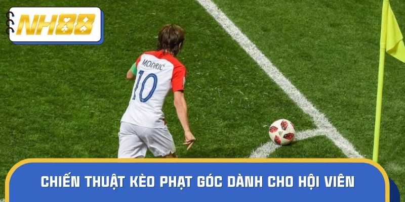 Chiến thuật soi tỷ lệ phạt góc dễ hiểu